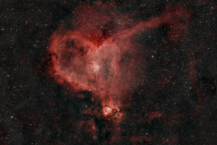 IC1805_2021-11-11_168C_L-eNhance_AllenTX_TSchuh_v3-scaled